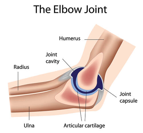 Summary of some of the more common Elbow Fractures ( radial head fractures)