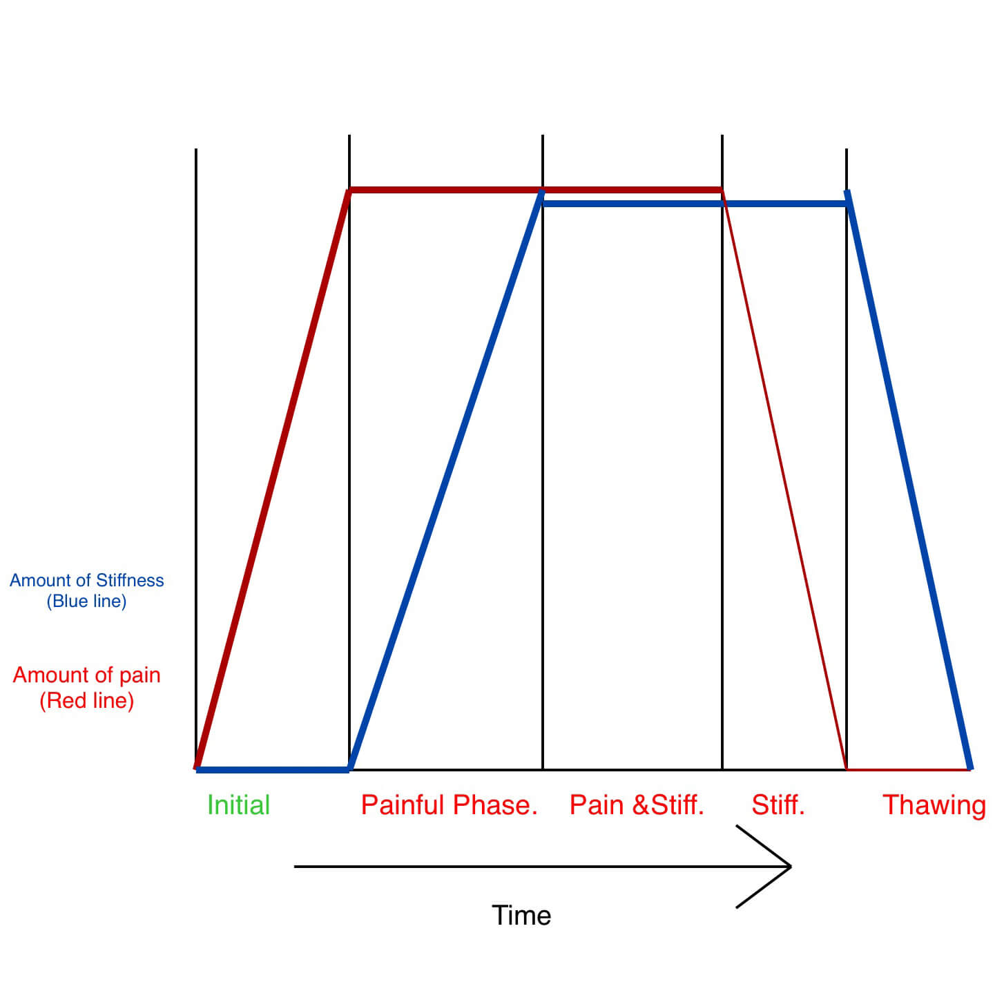 graph of stages frozen shoulder