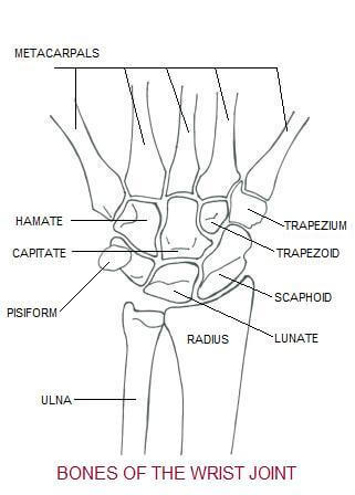 CMC ( carpometacarpal arthritis )